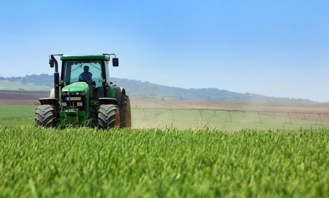 Как фермерскому хозяйству получить землю от государства