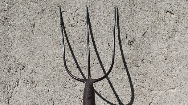 В Кировоградской области жестоко расправились с женщиной и ее матерью