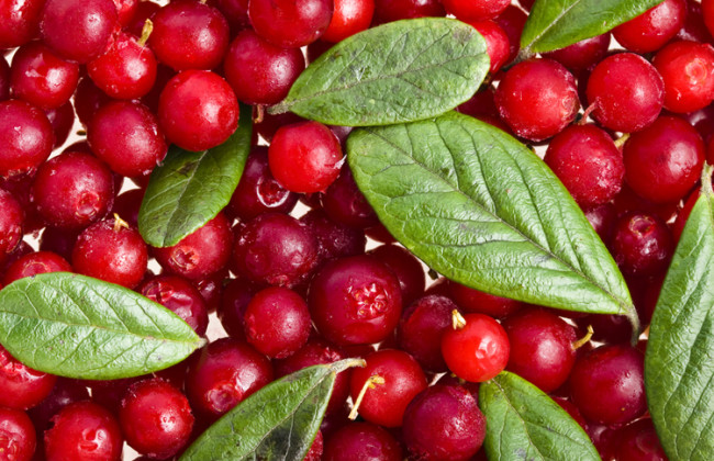 Медики назвали идеальную для здоровья ягоду