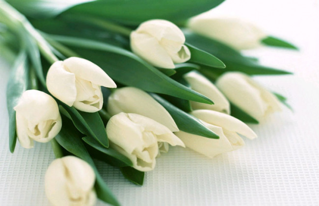 ВККС вітає жінок з 8 березня