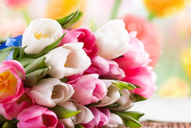 Голова ОАСК привітав жінок з 8 березня