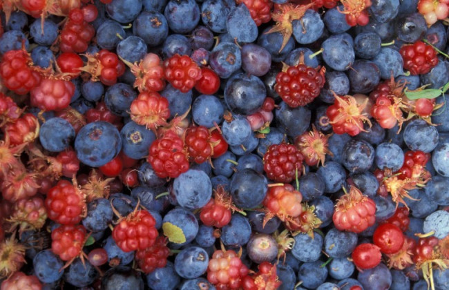 Как быстро и эффективно укрепить сосуды: медики объяснили