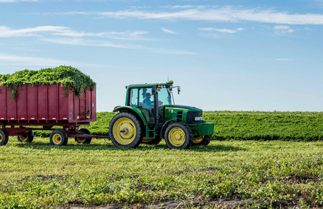 Как фермерскому хозяйству получить землю от государства