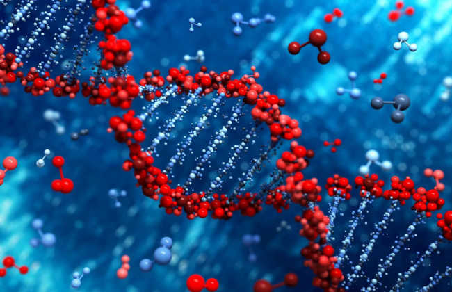 Названы неожиданные причины ранней смерти