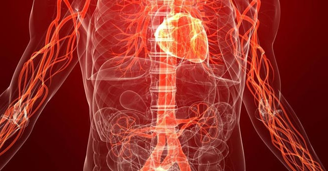 Опасные тромбы: как избежать тяжелого заболевания