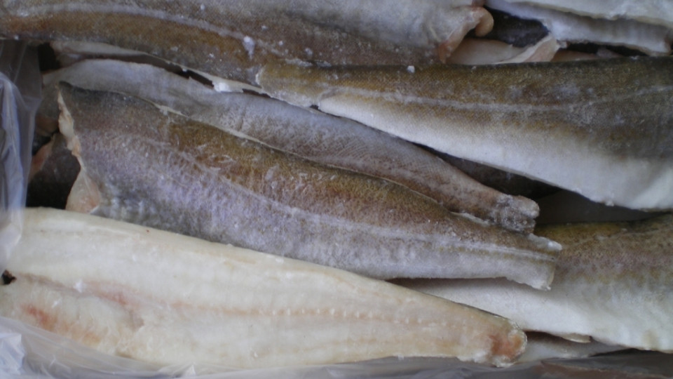 Рыба с червяками в супермаркете поставила киевлян «на уши»