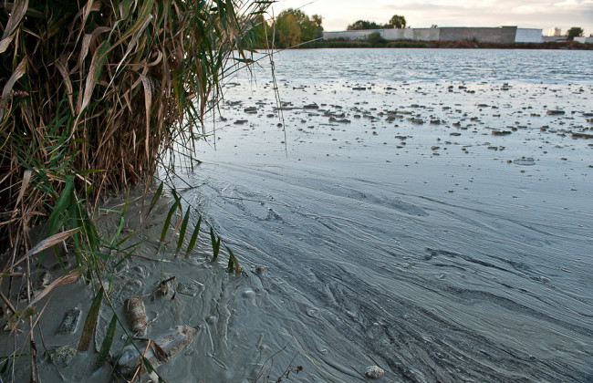 Ядовитая вода вызвала панику у жителей сел под Киевом