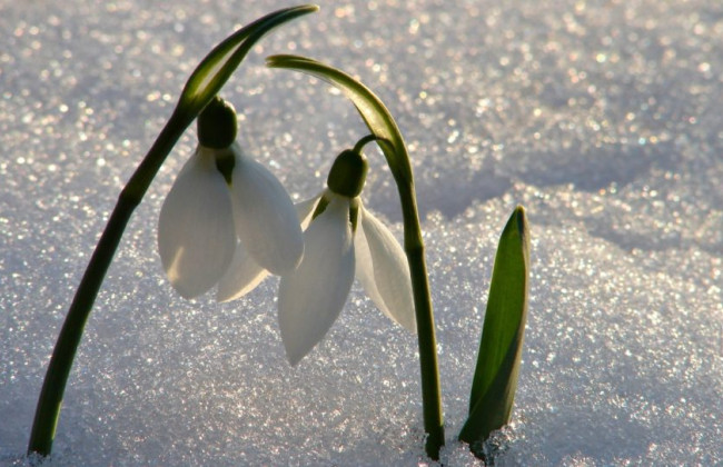 Стало известно, когда в Украину придет теплая весна