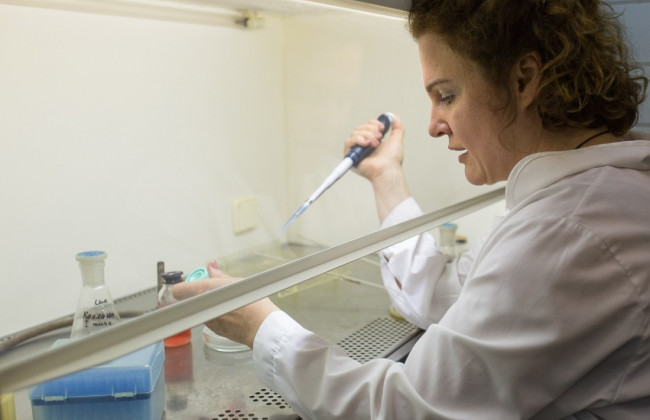 Как победить преждевременную старость: ученые назвали рецепт