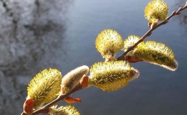 До +20: в Украину идет долгожданное потепление