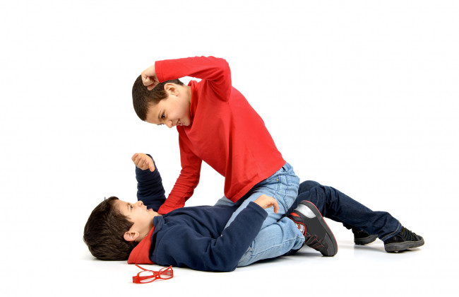 Внук народного депутата терроризирует целый класс на Прикарпатье