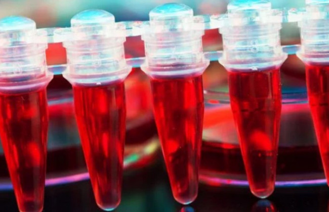 Медики нашли новый способ борьбы с раком