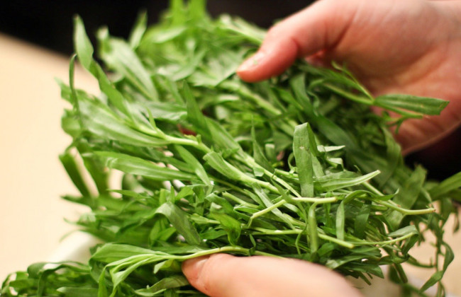 Тархун оказался опасным для здоровья человека