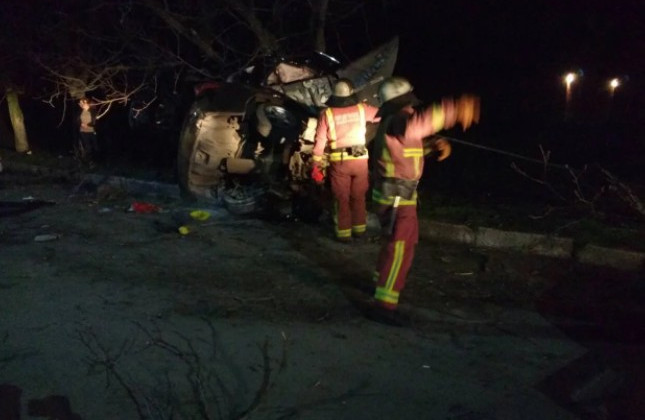 В Николаевской области автомобиль врезался в дерево, есть пострадавшие