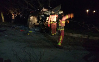 В Николаевской области автомобиль врезался в дерево, есть пострадавшие