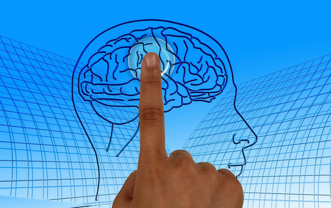 Как улучшить память: ученые нашли способ