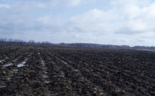 Махинации фермеров: суд вернул государству сельхозземли