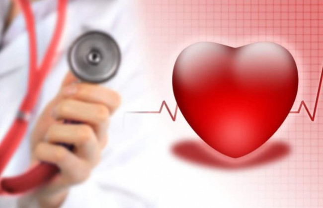 Кардиологи назвали жирные продукты, нужные для здоровья сердца