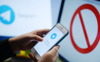 Осталась голубиная почта: в соцсетях обсуждают блокирование Telegram в России