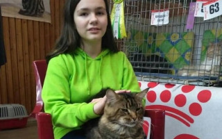 Планировали побег несколько месяцев: появились подробности об исчезнувших девушках