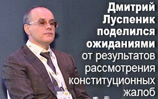 Дмитрий Луспеник поделился ожиданиями от результатов рассмотрения конституционных жалоб