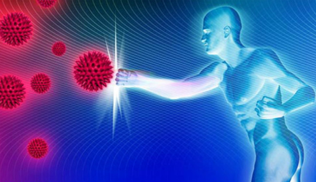 Стало известно, что больше всего убивает наш иммунитет