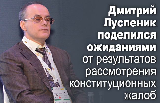 Дмитрий Луспеник поделился ожиданиями от результатов рассмотрения конституционных жалоб