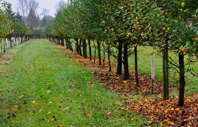 Похороны по-новому: украинцам указали на важный нюанс