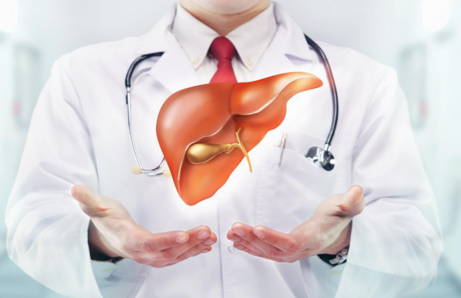 Как эффективно восстановить печень: медики назвали простые способы