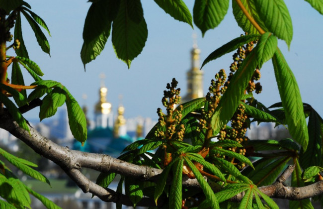 До -5 градусов: синоптики предупредили о заморозках в Украине