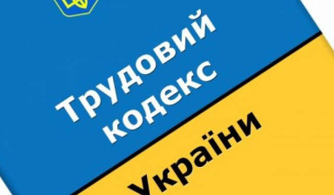 Трудовой кодекс: значение должностной инструкции для работника и работодателя