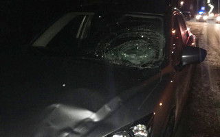 Подо Львовом нетрезвый водитель сбил полицейского