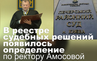 В реестре судебных решений появилось определение по ректору Амосовой