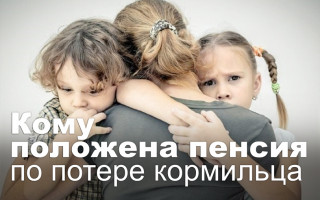 Кому положена пенсия по потере кормильца