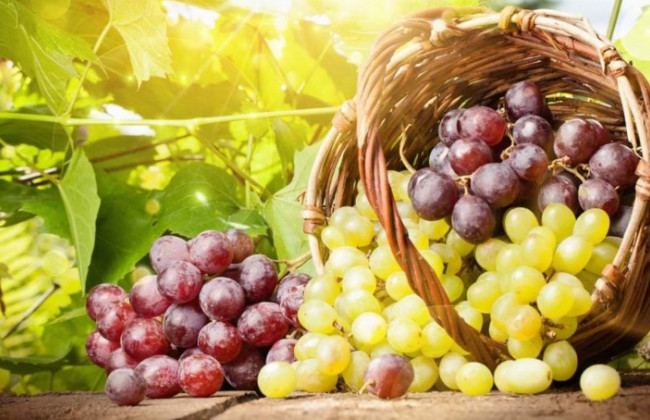 Кому и почему нельзя есть виноград
