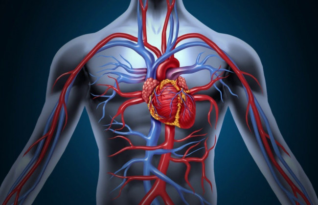 Эти пять симптомов указывают на будущие болезни сердца