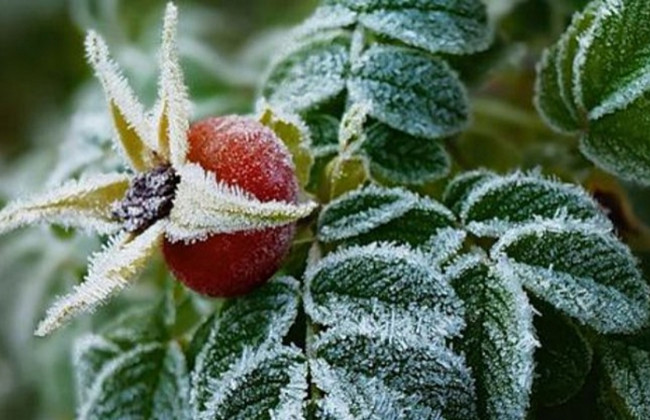 Холод и дожди: синоптики рассказали о погоде на ближайшие дни