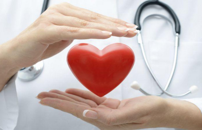 Как омолодить сердце на 15 лет: медики объяснили