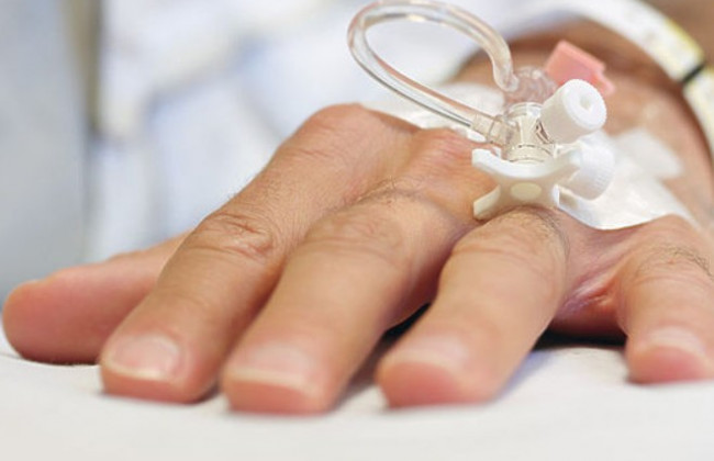 Назвали растение - защитника от рака