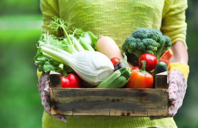 Названы продукты, которые лучше всего «чистят» печень