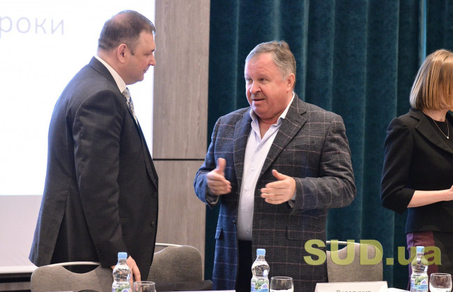 Конституционная жалоба: первые шаги, видео