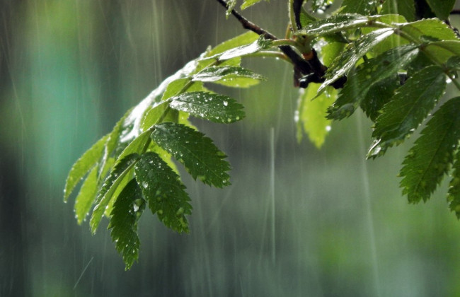 Похолодание и дожди: украинцам рассказали о погоде на выходных