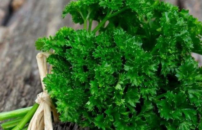 Кому и почему следует употреблять много петрушки