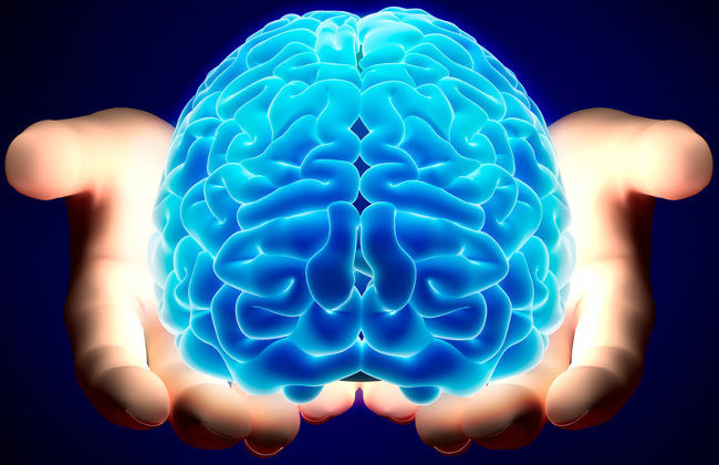 Названы идеальные для работы мозга витамины