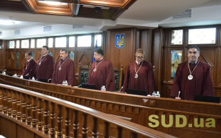 Рассмотрение первой конституционной  жалобы