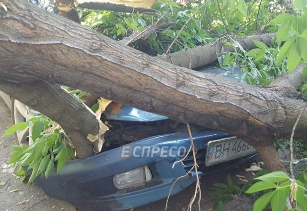В Киеве ветка дерева повредила сразу четыре автомобиля