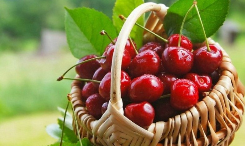 Эта ягода поможет организму побороть различные недуги