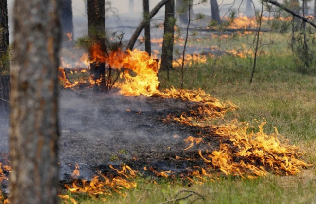 Спасатели сделали украинцам важное предупреждение