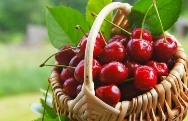 Эта ягода поможет организму побороть различные недуги