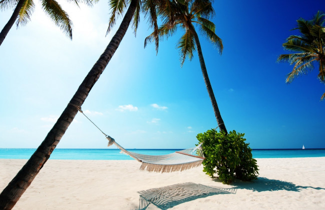 Летний отпуск: украинцы назвали желательные для отдыха города и страны